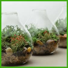 Maybe you would like to learn more about one of these? Spring Centerpieces Beyond Floral Arrangements Pic 5 3 Glass Terrariums The Party Goddessthe Party Goddess