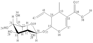 Image result for Pauridiantha paucinervis