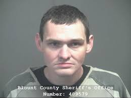 SCARLETT, JACOB FRED Charges: DRUG/RECOVERY COURT SANCTIONS This  information and more is available https://apps.myocv.com/share/a95737804