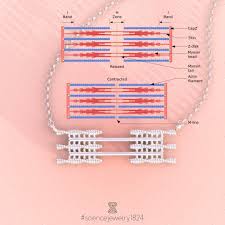 Pin On Project Ideas
