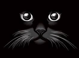 The fervent feel is further upped by the glowing. Kostenlose Pds Dateien Vektoren Und Grafiken Fur Black Cat Eyes Vector Background Free