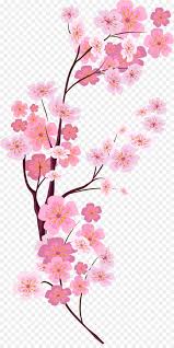 Cherry Blossom Euclidean Vector Vector Painted Pink Cherry Blossoms Flower Png Images Pink Floral Background Cherry Blossom Background