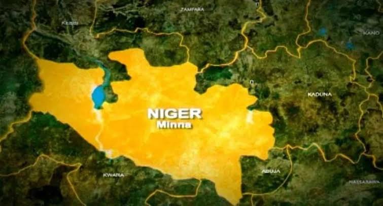 Floods wash away farmlands in Niger as govt issues fresh warnings - Tribune Online