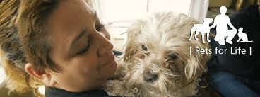 At raw pet food pantry, we're passionate about raw feeding. Saving Chicago S Neediest Animals
