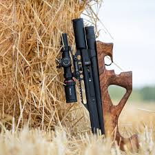 Image result for Lelya