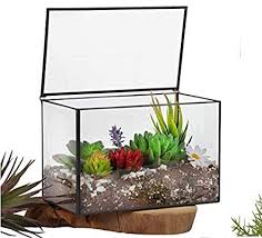 Amazon Com Ferrisland Glass Terrarium Mordern Rectangle Geometric Succulent Terrarium For Tabletop Decor Box W L Succulent Terrarium Glass Terrarium Terrarium