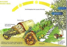 This page may contain affiliate links. Design And Build A Low Maintenance Perennial Fruit And Herb Front Garden