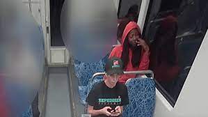 Deadly lightrail stabbing suspect had 14 prior arrests, diagnosed with  schizophrenia