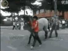 Beat A Dead Horse Gifs Tenor
