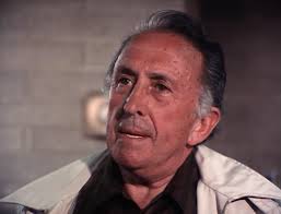 The DALLAS casting rolodex: PETROCELLI