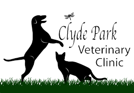This message will not appear on the live site, but only within the editor. Clyde Park Veterinary Clinic Veterinarians Serving Grand Rapids Wyoming Grandville And Byron Center Home