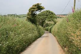 35 most beautiful villages in england 1. Cornish Hedge Wikipedia