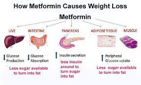 Pin On Pcos