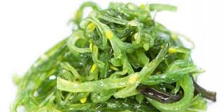 Seaweeds offer lots of nutritional benefits to cats. Can Cats Eat Seaweed Best Seaweed Cat Supplements Pet Care Advisors