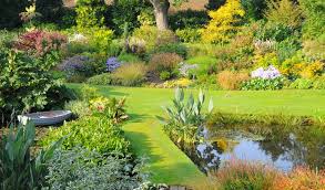 Beth Chatto Gardens Uk Must See Garden History English Garden Garden Visits