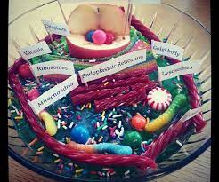 Check spelling or type a new query. Model Of A Cell In Jello With Candy 2013