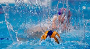 Последние твиты от uefa euro 2020 (@euro2020). New Calendar Of Len Champions League And Len Euro Cup Total Waterpolo