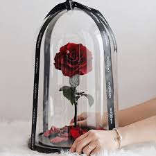 The tea rose is a historical fiction novel by jennifer donnelly. Pin On Flowers