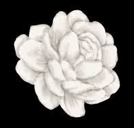 Deepen Your Relationship with God: 40-Day Prayer Challenge with Lara DeHaven 