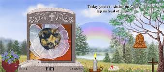 When a beloved pet dies, the pet goes to this place. Create A Pet Memorial At Rainbow Bridge For Your Departed Pet At Rainbow Bridge