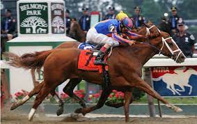The Elite Mares Being Lined Up For A Date With American Pharoah Topics Rags To Riches Coolmore American Pharaoh Zenyatta Justin Zayat Thoroughbred Racing Commentary