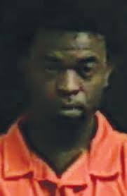 Geneva County Sheriff's arrest dozen in drug operation