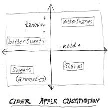 apple varieties at eves cidery eves cidery