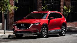 Image result for Temperament Red 2018 Q7