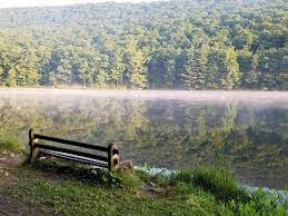 Poe valley state park 136 poe valley park circle, coburn. Poe Valley State Park Coburn 2021 All You Need To Know Before You Go With Photos Coburn Pa Tripadvisor
