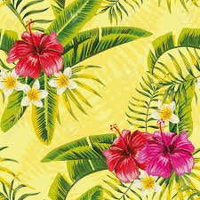 Maybe you would like to learn more about one of these? Tropical Banana Palm Leaves And Flowers Hibiscus Plumeria Seamless Royalty Free Cliparts Vectors And Stock Illustration Image 68027254