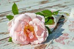 For the perfect flower arrangement, look no further than ann's flowers in santa monica, ca. 60 Flower Bouquets Ideas Flower Delivery Flowers Bouquet Beautiful Bouquet Of Flowers