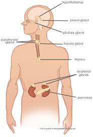 Military Disability Ratings For Endocrine System Conditions