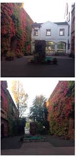 Kupferberg Terrasse Mainz Terrasse Mainz Berg