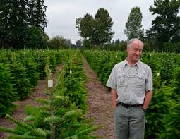Welcome to the tim davis group of central oregon. The Future Of Northwest Christmas Tree Farms Country Folks Grower