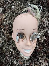 Found beachcombing treasure