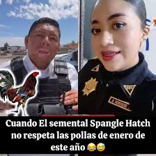 Hermoso ejemplar línea “Stuart Yellow Leg Hatch” del criador Brian Corkren  en Brilliant, Alabama. Seleccionado por su servidor Víctor Silva para el  amigo Alfredo Vásquez. #Solo_Primer_Nivel