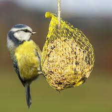 14 easy diy winter bird feeders the