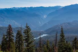 It's a bit curvy and tight, so trailers and rvs aren't recommended. 6 Best Sights In General Grant Grove Moon Travel Guides