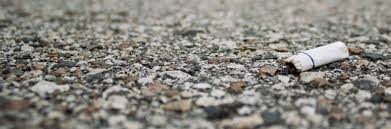 نتیجه جستجوی لغت [litter] در گوگل