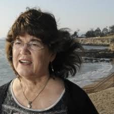 Trees are falling in Pismo Beach