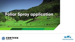 We did not find results for: Application Technique Foliar Spray Youtube
