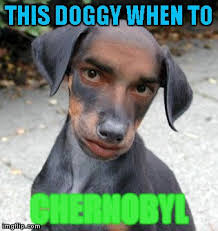 30 dank history memes & jokes about the past. Dog Human Memes Imgflip