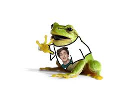 frog wearing a danny shirt vs danny wearing a frog shirt : r/DannyGonzalez