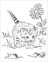 If you want colored picture to print then click print link for color. Color Pages Coloring Pages Kitten Print Kitty Cats Cat Coloring Home