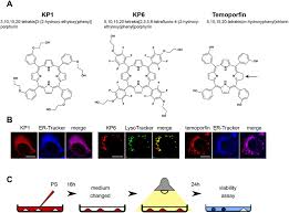 Image result for Porfimer