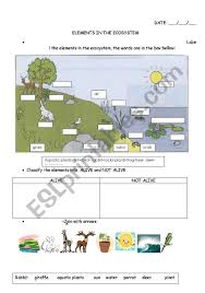 Elements In The Ecosystem Esl Worksheet By Carucha In 2020 Ecosystems Worksheets Esl Worksheets