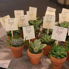 Set Of 25 Customizable Take A Shot We Tied The Knot Favor Tag Etsy In 2021 Bridal Shower Party Favors Plant Wedding Favors Wedding Shower Activities