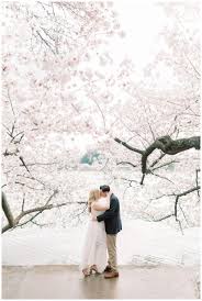 Maybe you would like to learn more about one of these? Washington Dc Cherry Blossom Engagement Session District Of Columbia Wedding Photographer Kir Tuben Jill And Jason Kir2ben Com