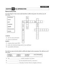 The process where one cell forms two identical daughter cells. Cell Reproduction Lesson Plans Worksheets Lesson Planet