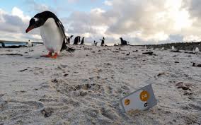 Lernen sie die insel der aphrodites bei einem zypern urlaub kennen. Das Kostet Urlaub Auf Den Falklandinseln Kreuz Und Peer Ein Reiseblog